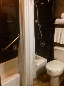 Sheraton Syracuse University bath and toilet.