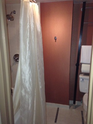 Hyatt Regency DFW shower/toilet area.