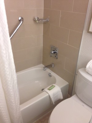 Bathroom (shower/tub, toilet).