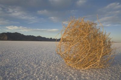 A non-flaming tumbleweed during non severe weather.